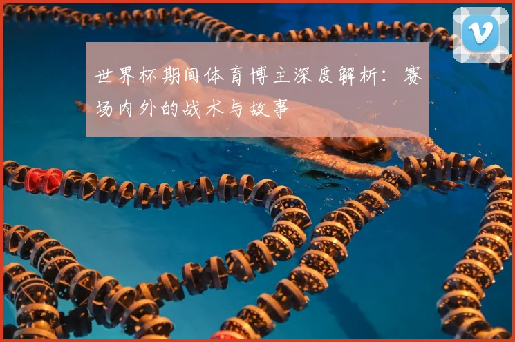 世界杯期间体育博主深度解析：赛场内外的战术与故事